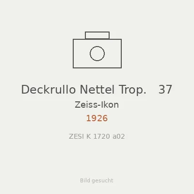 Deckrullo Nettel Trop.   37