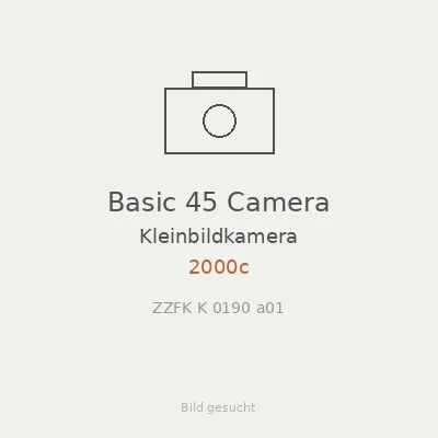 Basic 45 Camera
