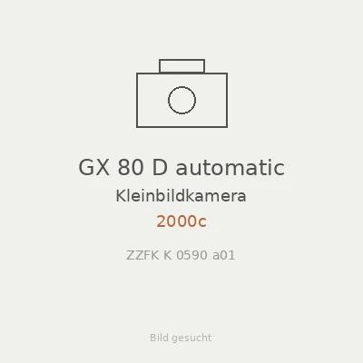 GX 80 D automatic