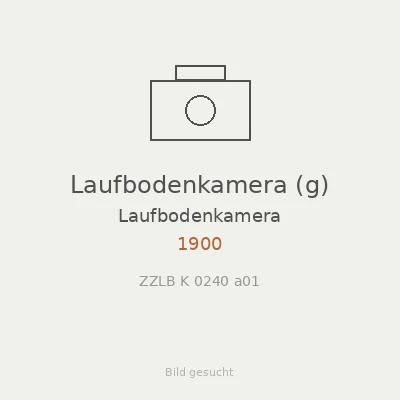 Laufbodenkamera (g)
